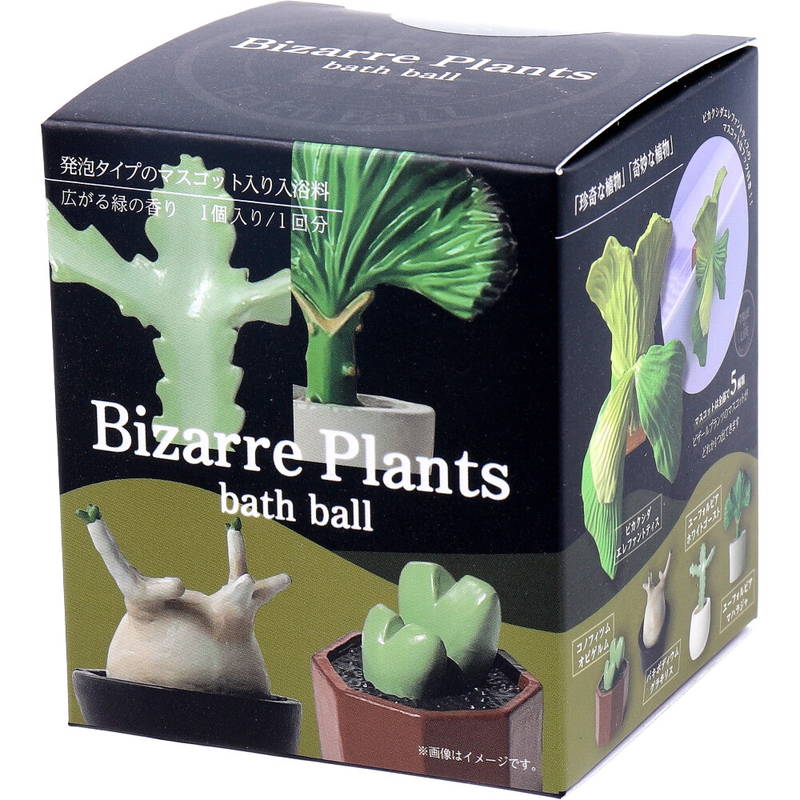 ユーフォルビア ホワイトゴーストのおすすめ人気商品一覧 通販 - Yahoo