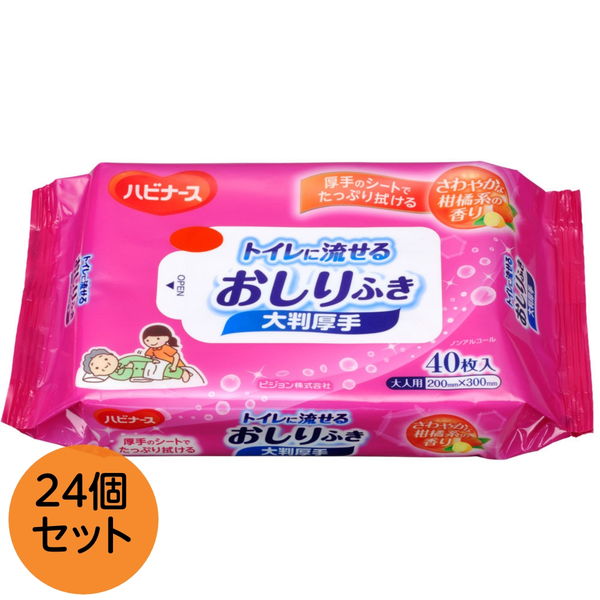 お尻拭き ハビナース トイレに流せる おしりふき 大判厚手 ノンアルコール 40枚入x24セット まとめ買い ケース販売 :1002 4902508116015 24:カナエミナ