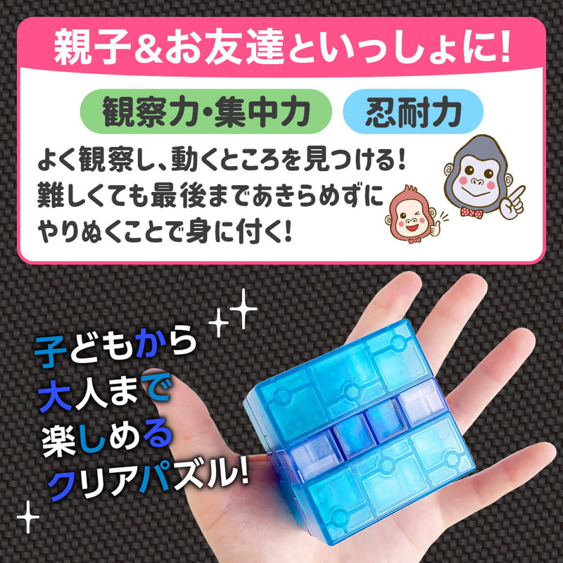 知育玩具 6歳〜100歳 KUMIPULA(クミプラ) クリアパズル ロジカル