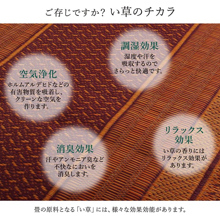 廊下敷きマット ロングカーペット 80x340cm DXランクス い草 夏 廊下敷き ラグマット 国産 日本製 モダン柄 抗菌防臭 お手入れ簡単