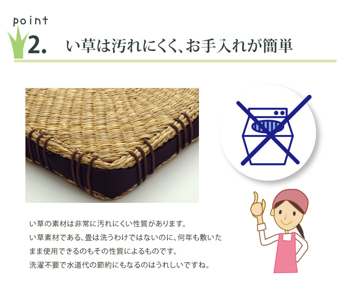 イケヒコ 円座 クッション い草座布団 40x40cm 角型 2枚組 コート ン