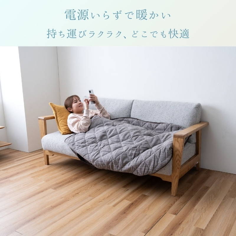イケヒコ ポケットこたつ 着るこたつ 履くこたつ 90x120cm シャープ 足
