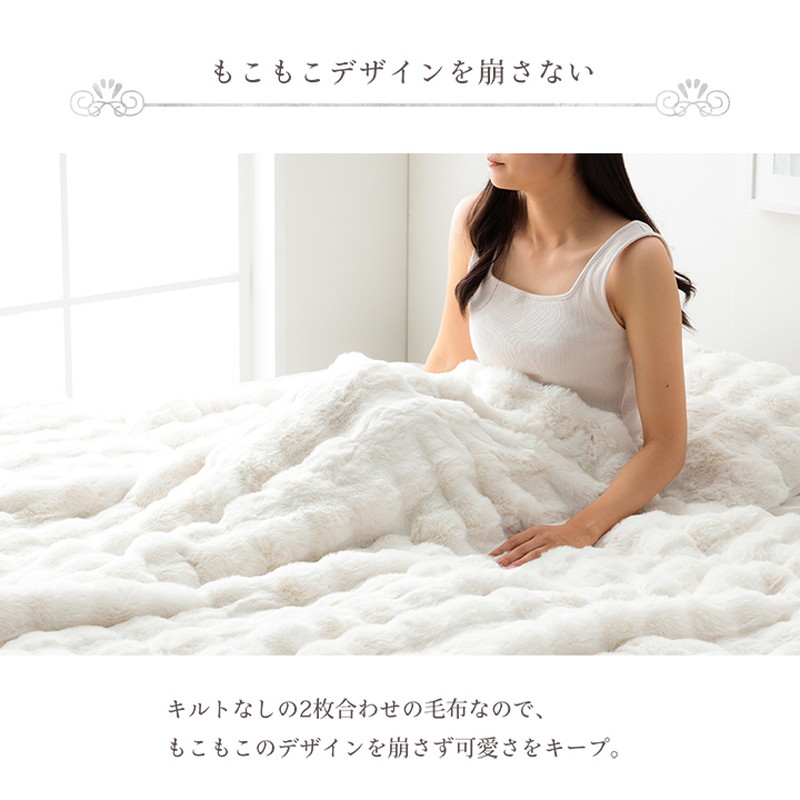 イケヒコ 毛布 ブランケット ダブル 180x200cm ラピアスプレミアム 2枚