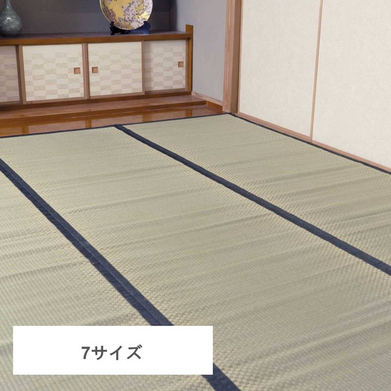 イケヒコ 畳の上敷き い草の上敷き 城山 団地間 4.5畳 255x255cm 四方
