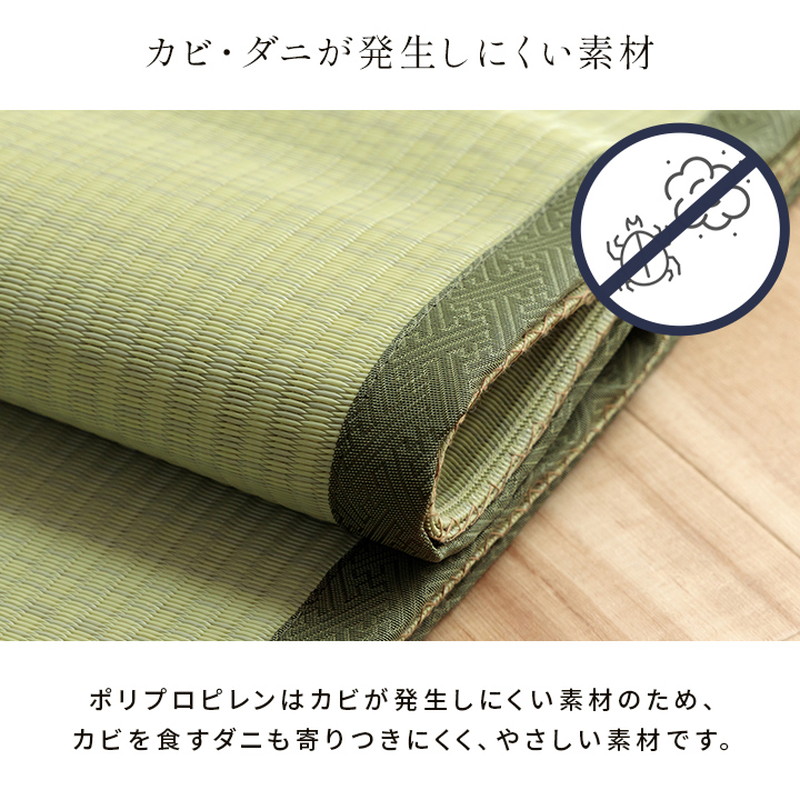 イケヒコ ラグ カーペット ペット対応 洗える 江戸間6畳 261×352cm
