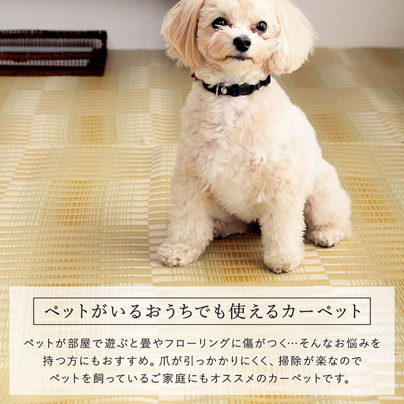 ラグ い草風カーペット 洗える ござ ペット対応 本間 8畳 382×382cm 国産 畳の上敷き 敷き詰め アウトドア レジャーシート 日本製_4