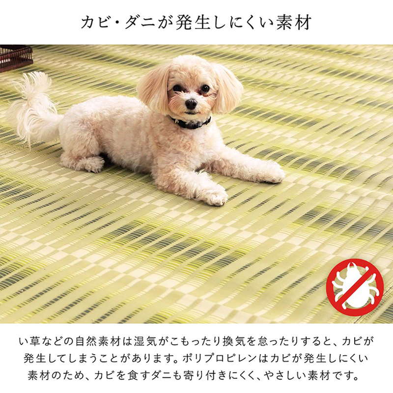 ラグ い草風カーペット 洗える ござ ペット対応 本間 8畳 382×382cm 国産 畳の上敷き 敷き詰め アウトドア レジャーシート 日本製_8
