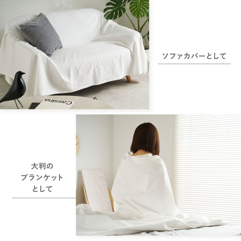スローケット ソリッド シングル 140x200cm 綿100％ 洗濯機で洗える