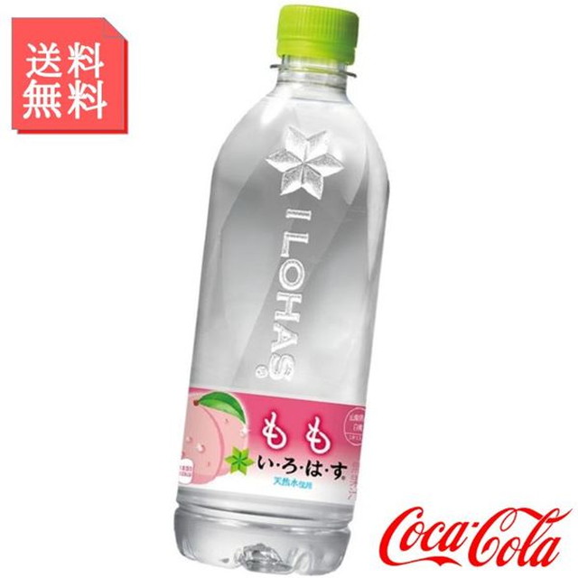͂  540ml ybg{g 2P[X 48{ EÉE  t[ct[o[ ~lEH[^[