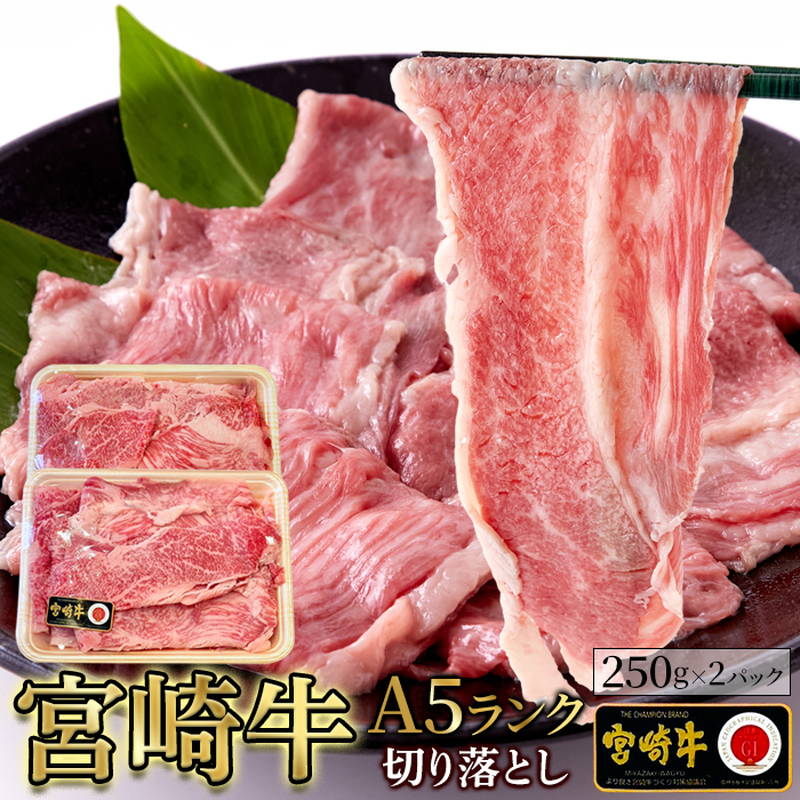  {苍 A5N uh ~ ؂藎Ƃ 500gi250g×2pbNjⓀ