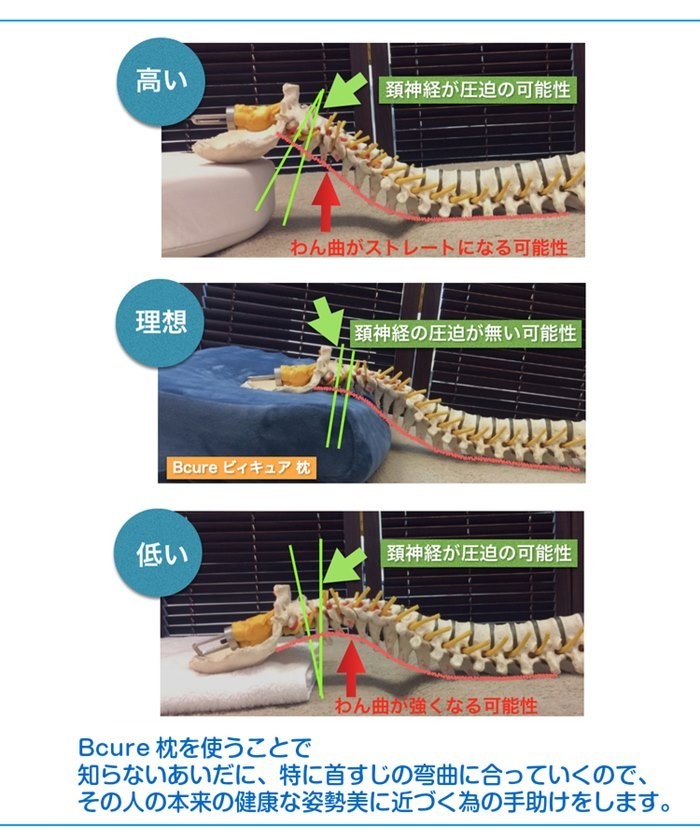ラク枕さん専用 朝ラクまくら 枕+専用枕カバーセット 特許取得枕 まくら マクラ