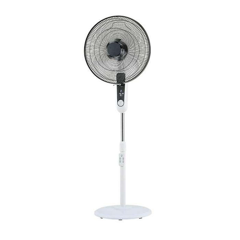 �t���A��@ �w������ �n�C�|�W�V���� �H���a40cm �H��10�� �啗�� �����R���t�� GF-F426FR-W �z���C�g ����