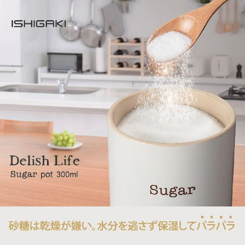 シュガーポット ソルトポット 2個セット 砂糖 塩 容器 キャニスター