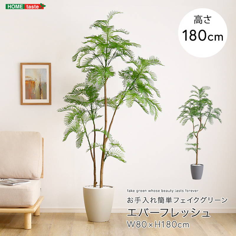 人工観葉植物 フェイクグリーン エバーフレッシュ Lサイズ 180cm
