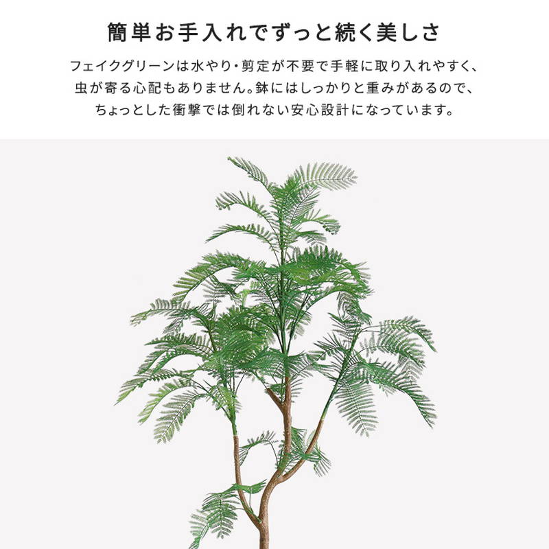 人工観葉植物 フェイクグリーン エバーフレッシュ Lサイズ 180cm