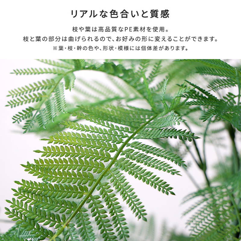 人工観葉植物 フェイクグリーン エバーフレッシュ Lサイズ 180cm