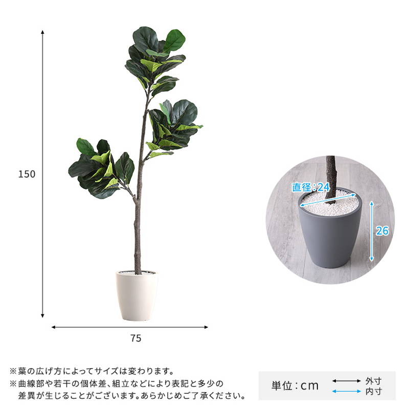 人工観葉植物 フェイクグリーン フィカス・リラータ Mサイズ 150cm おしゃれ インテリア 造花の画像