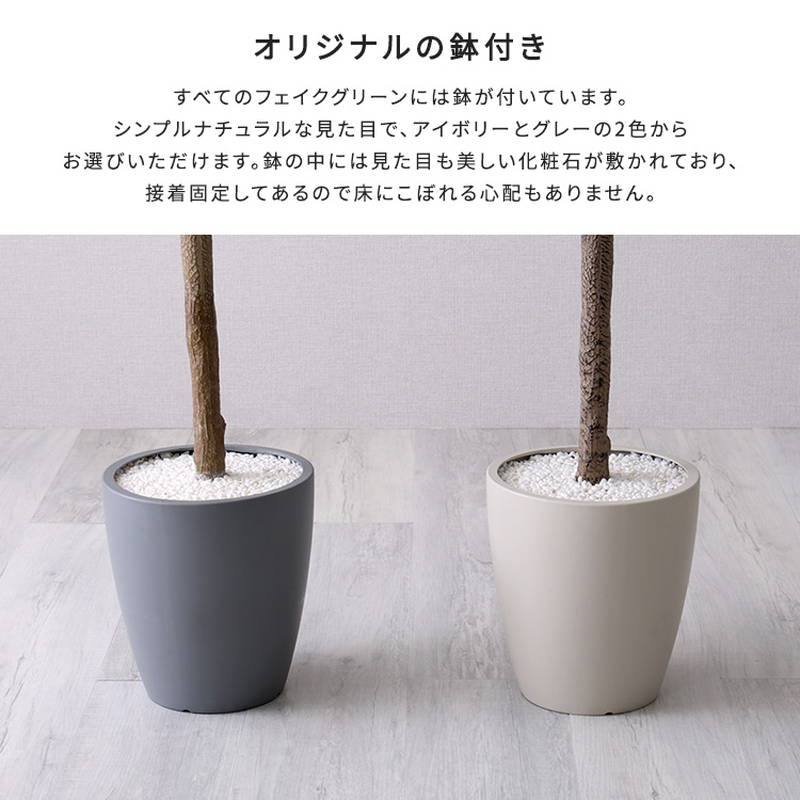 人工観葉植物 フェイクグリーン フィカス・リラータ Mサイズ 150cm おしゃれ インテリア 造花の画像