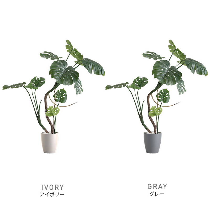 モンステラ 人工観葉植物 約150cm 不二貿易 フェイクグリーン Artificial - Green フェイクグリーン モンステラ – KANADEMONO