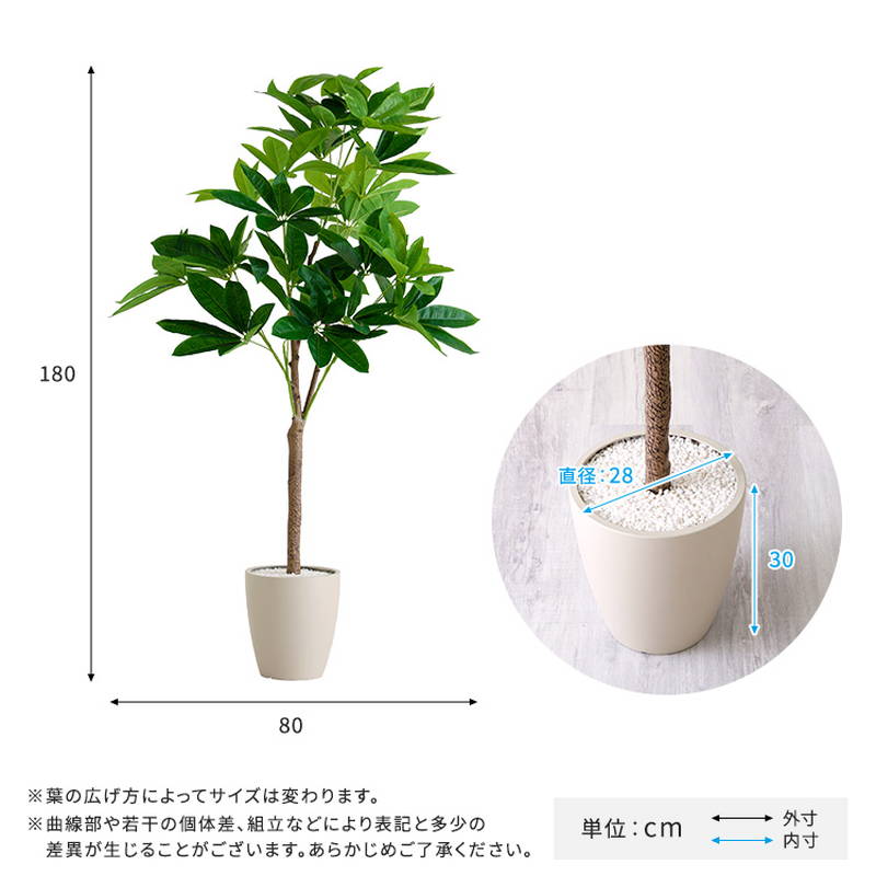 値下○引取り限定○大型 パキラ 180cm ねじりパキラ 観葉植物 植木 庭木
