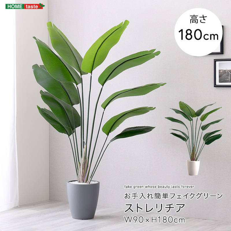 人工観葉植物 フェイクグリーン ストレリチア Lサイズ 180cm おしゃれ 