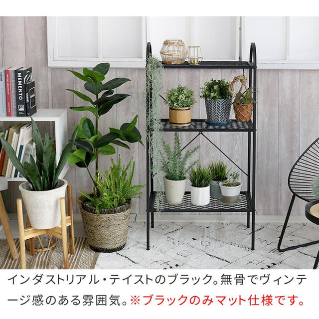 ディスプレイスタンド スリム ラック 観葉植物 インテリア | Pay ID