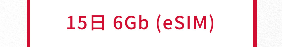 15日間 6Gb 電話番号付き(国際電話(日本可能)30分無料) 有効期限   2024年6月30日 ヨーロッパSIM…15日／6Gb