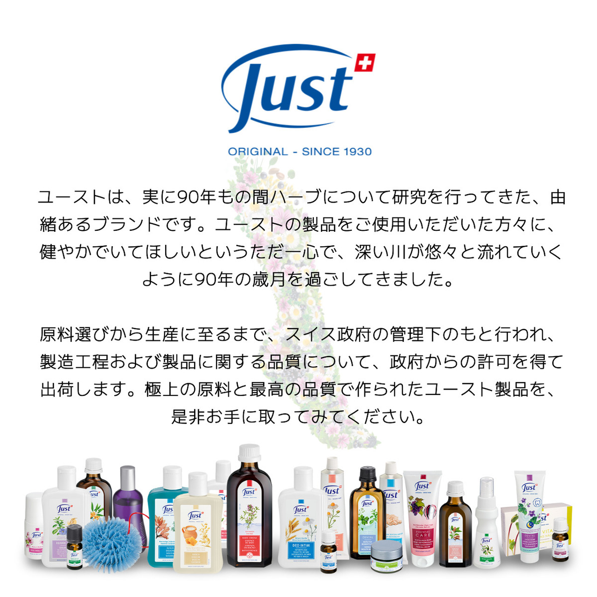 公式】 JUST ユースト タイムクリーム 100mL 訳あり・使用期限間近