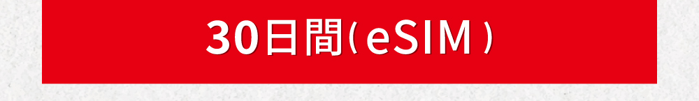 ベトナム30日間
