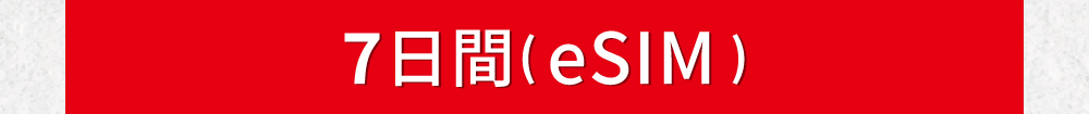 ベトナム7日間