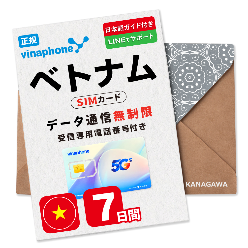 ベトナム シム