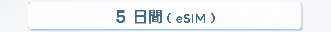 ベトナム5日間