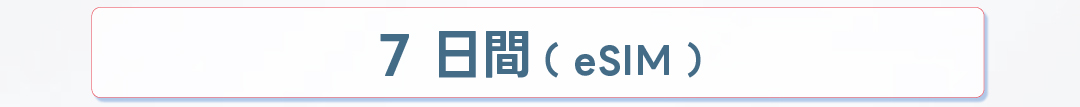 ベトナム7日間
