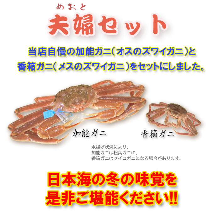 送料無料】金沢よりボイル発送！最高級！ズワイガニめおとセットＡ（加