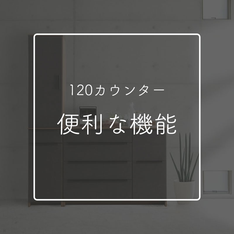シギヤマ家具工業 食器棚 開梱設置付き シギヤマ ディーバ 120