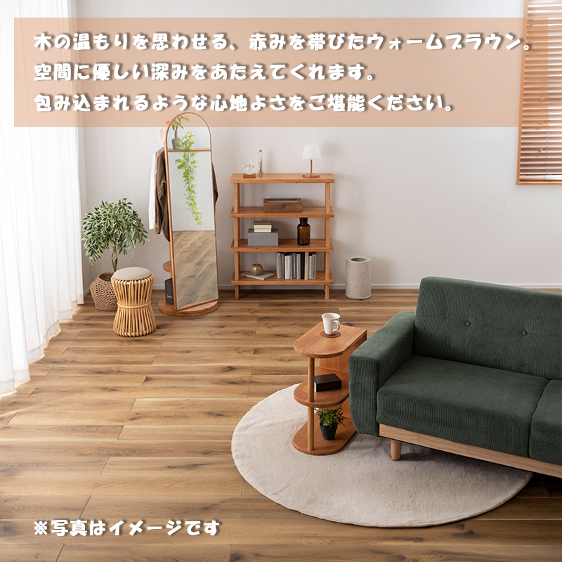 東谷 ミラー ハンガーラック 回転式 2段 隠す収納 背面収納 リビング