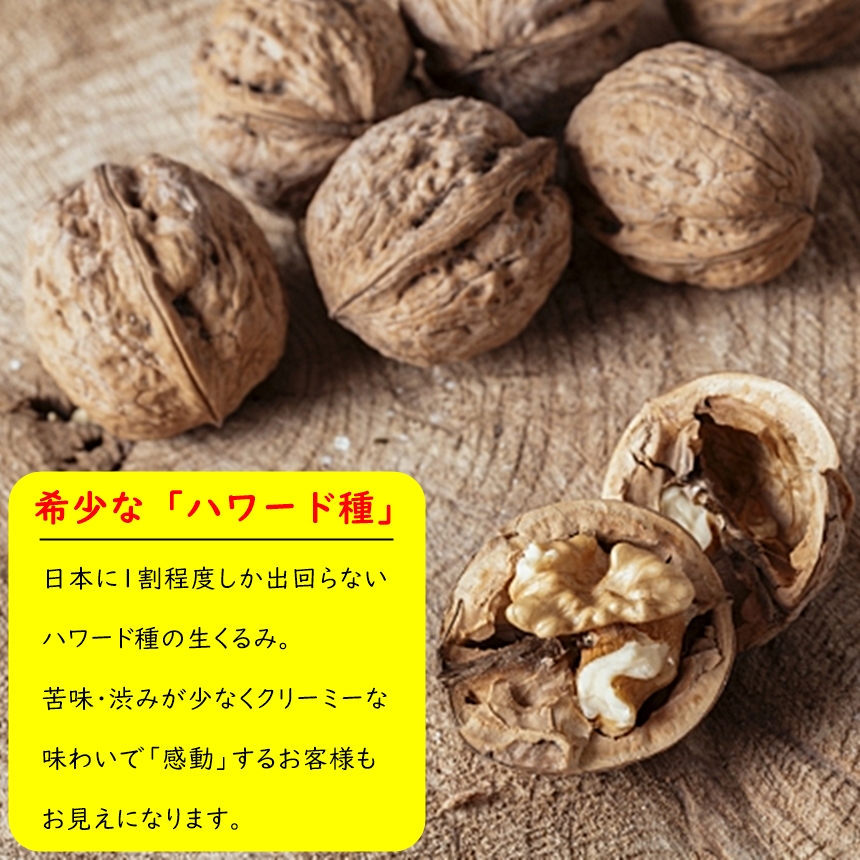 くるみ 最上級 生クルミ 600g 無添加 無塩 苦味・渋みが少なくクリーミーな