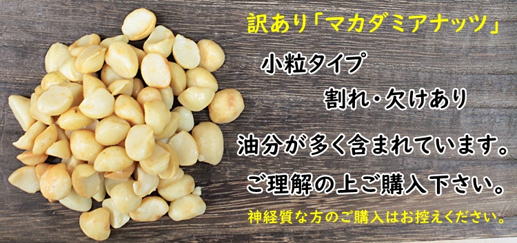 訳あり マカダミアナッツ 500g 無添加 塩不使用 数量限定 食品