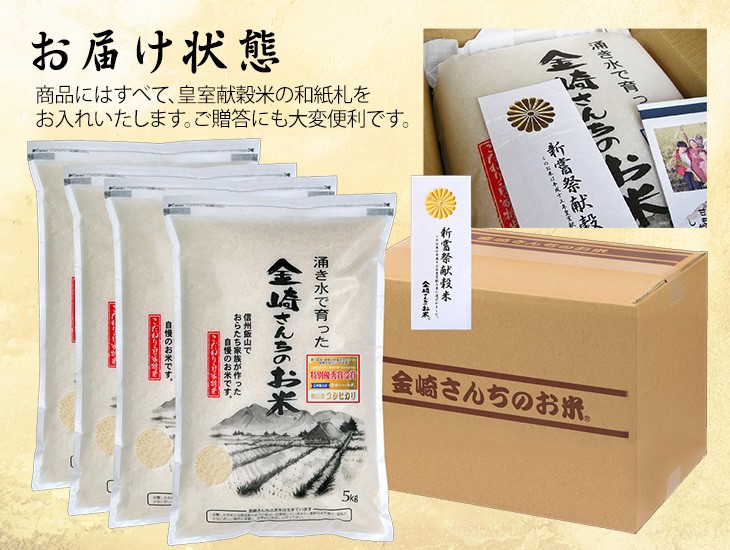 コシヒカリ お米 20kg 特別栽培米コシヒカリ 令和8年産 5kg×4袋 : 金崎