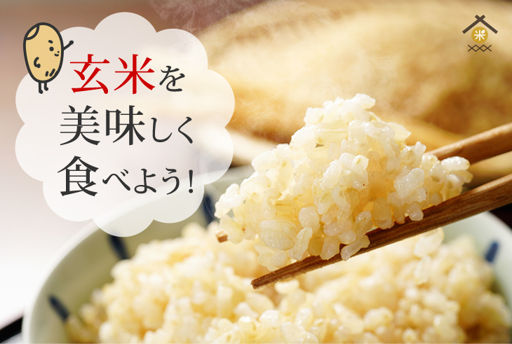 コシヒカリ 玄米 10kg 特別栽培米コシヒカリ 令和7年産 長野県飯山
