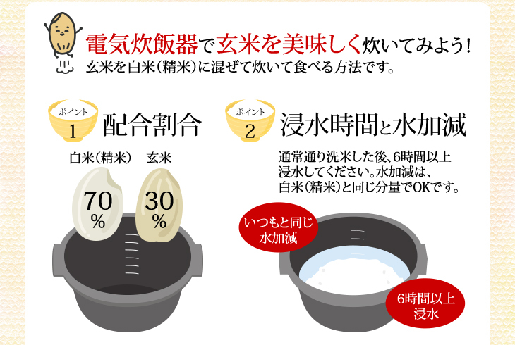 コシヒカリ 玄米 30kg 特別栽培米コシヒカリ 令和7年産 : 金崎さんちの