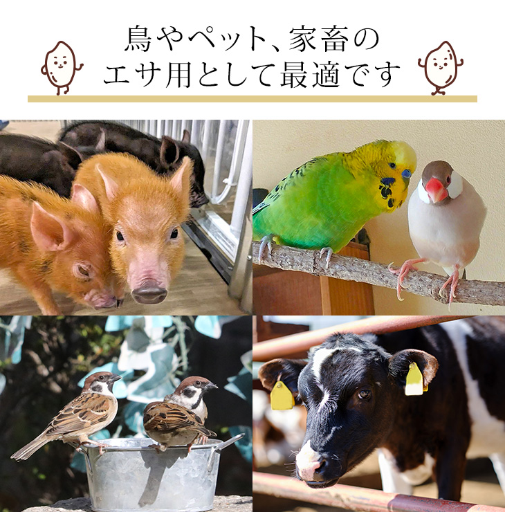 国産 砕け米9kg(3kg×3袋) : 金崎さんちのお米ヤフー店 - 通販 国産 砕け米9kg(3kg×3袋) : 金崎さんちのお米ヤフー店 - 通販