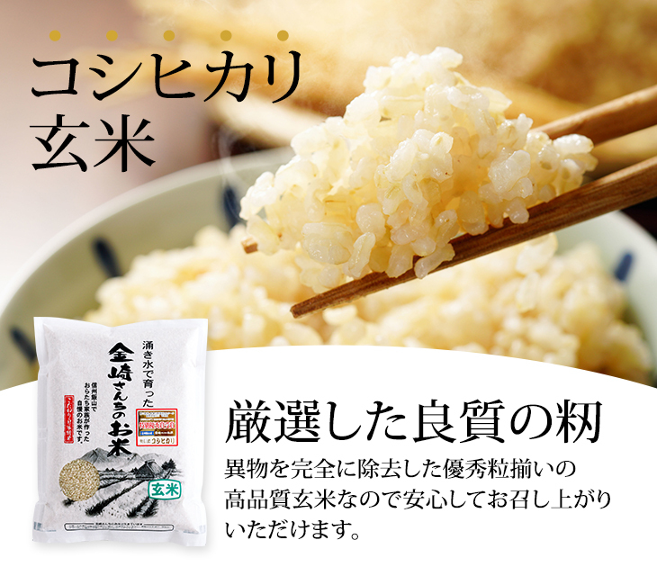 コシヒカリ お米 2kg 特別栽培米コシヒカリ 令和6年産 長野県