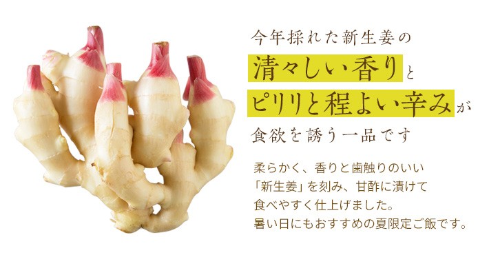 金沢浅田屋 新生姜ご飯の素