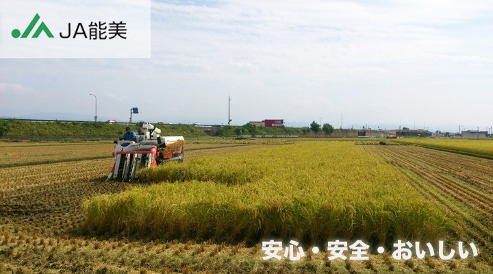 ≪JA能美≫昔懐かしいふるさとの味 生かきもち（75枚入り）【新