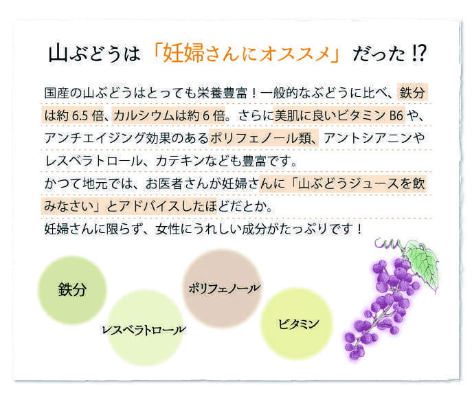 山ぶどうは「妊婦さんにオススメ」だった！？国産の山ぶどうはとっても栄養豊富！一般的なぶどうに比べ、鉄分は約6.5倍、カルシウム約6倍。さらに美肌に良いビタミンB6や、アンチエイジング効果のあるポリフェノール類、アントシアニンやレスベラトール、カテキンなども豊富です。かつて地元では、お医者さんが妊婦さんに「山ぶどうジュースを飲みなさい」とアドバイスしたほどだとか。妊婦さんに限らず、女性にうれしい成分がたっぷりです！