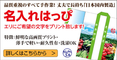かんばん工房「国産名入れはっぴ」