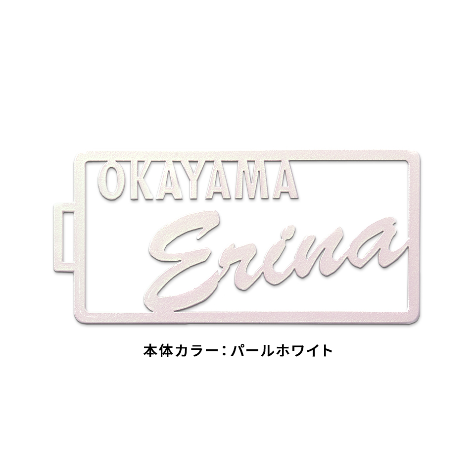 ネームタグ 名入れ ゴルフ 子供 おしゃれ スーツケース ベルト 名札 ネームプレート ステンレス ...