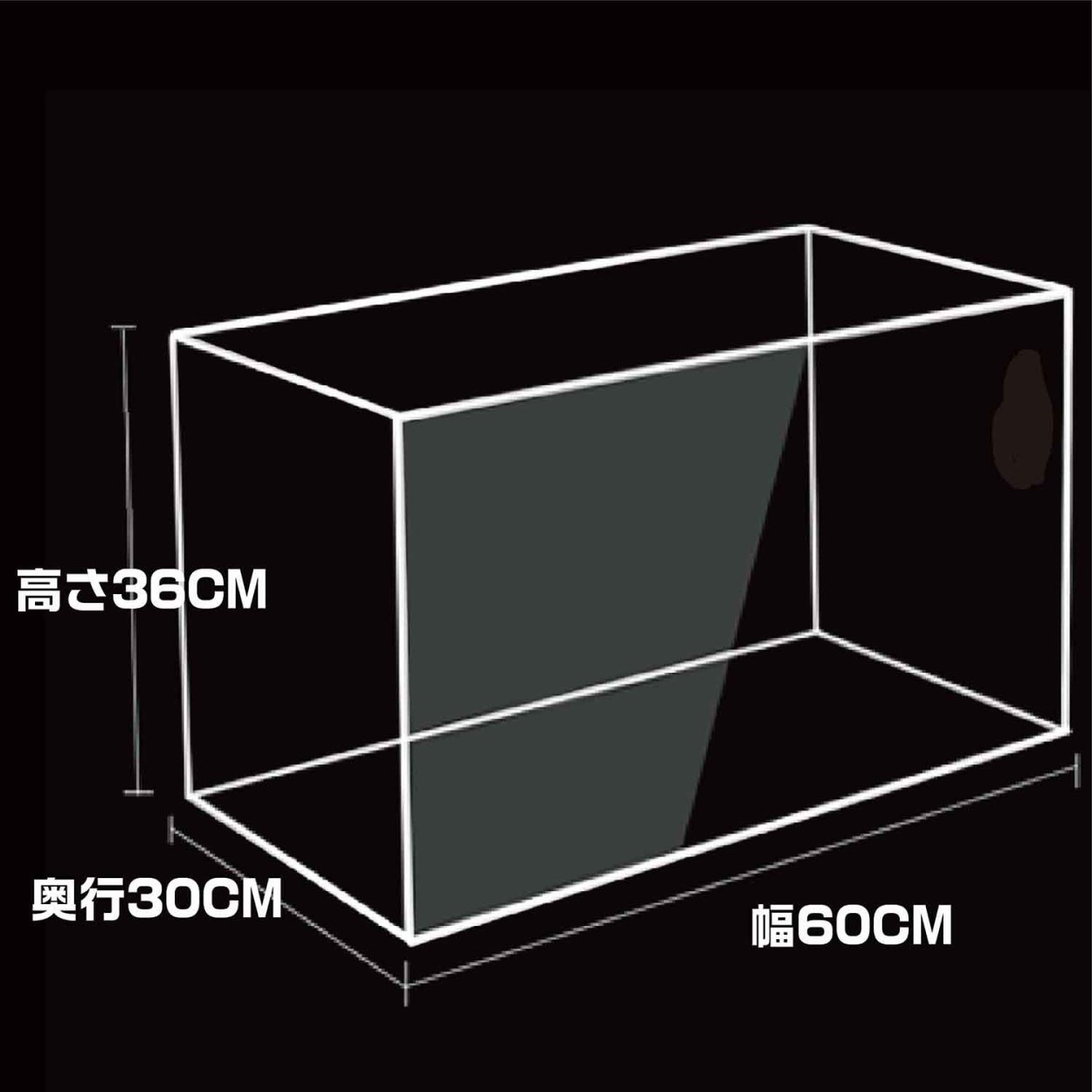 水槽の説明文60cm30cm36cm