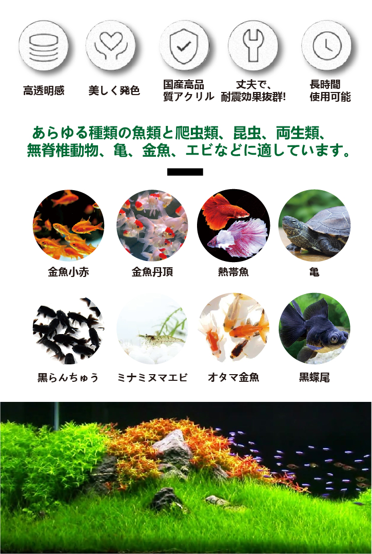 飼育例